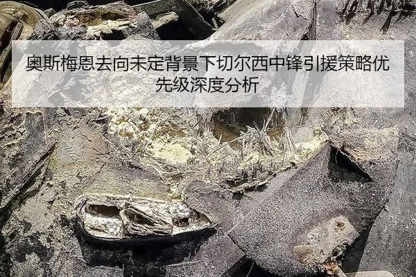 ao-si-mei-en-qu-xiang-wei-ding-bei-jing-xia-qie-er-xi-zhong-feng-yin-yuan-ce-lve-you-xian-ji-shen-du-fen-xi-2-522.jpg